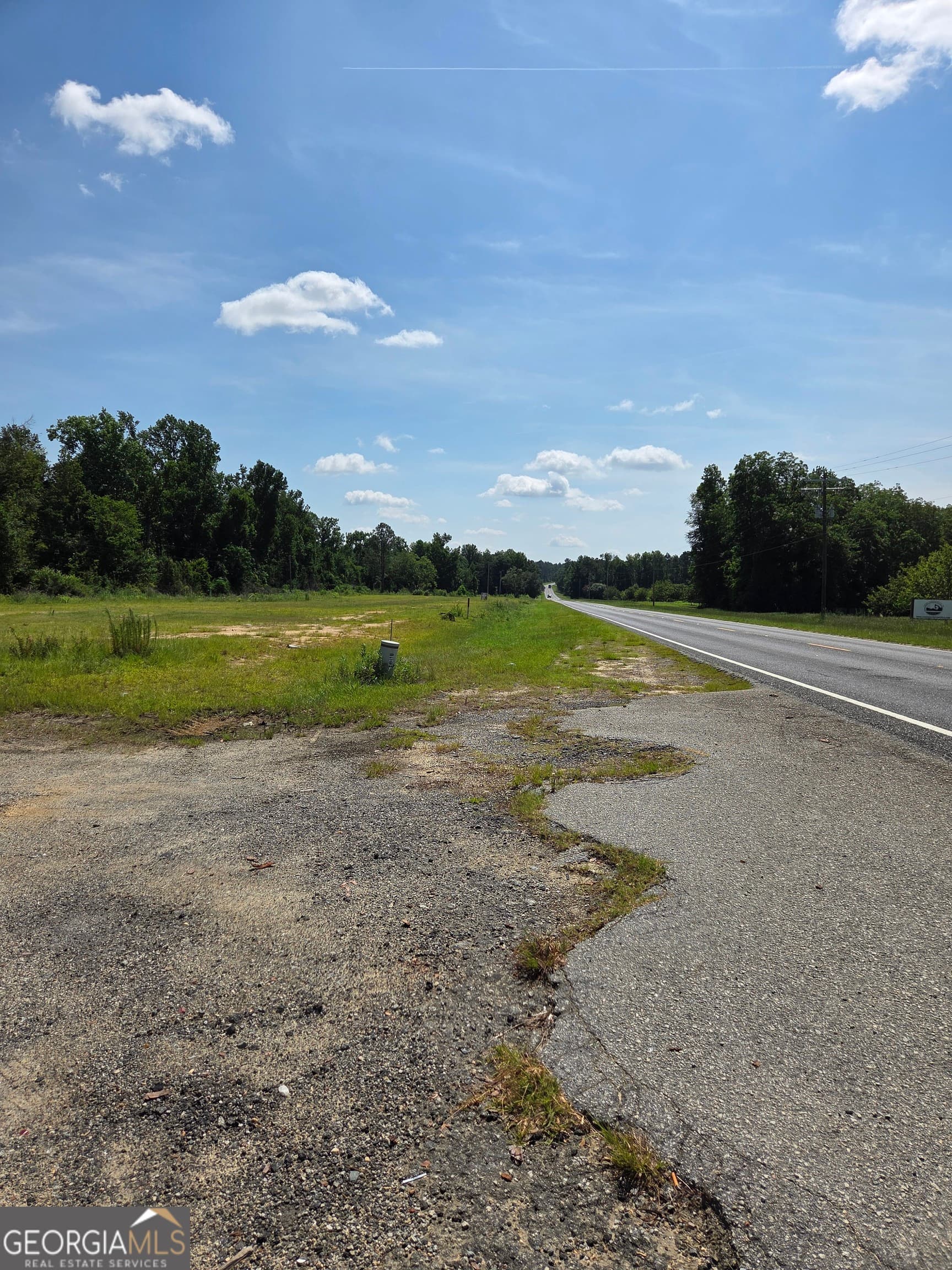 residential lot for sale at 0 E Highway 80, Swainsboro, GA 30401 — photo 6