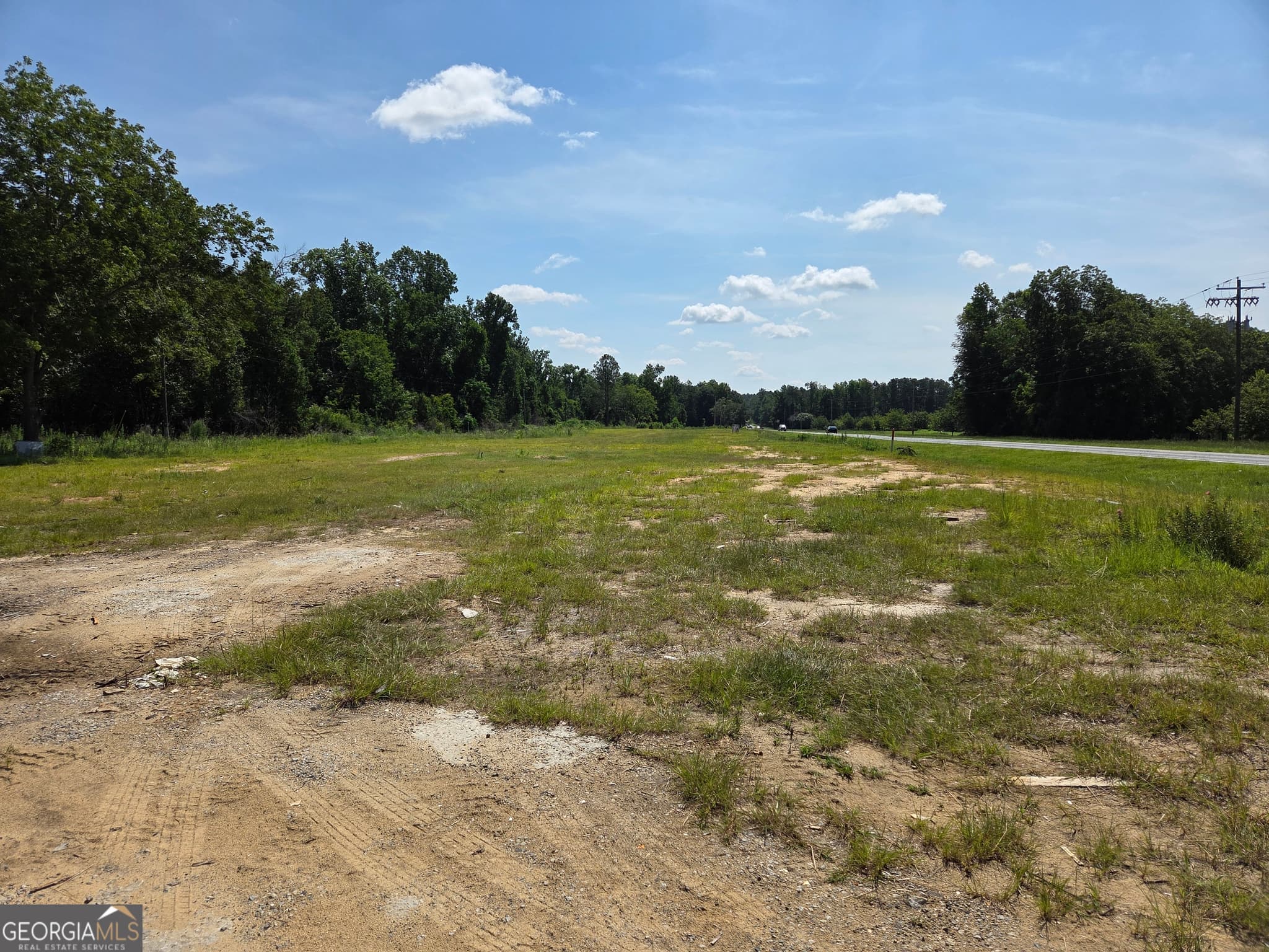residential lot for sale at 0 E Highway 80, Swainsboro, GA 30401 — photo 3