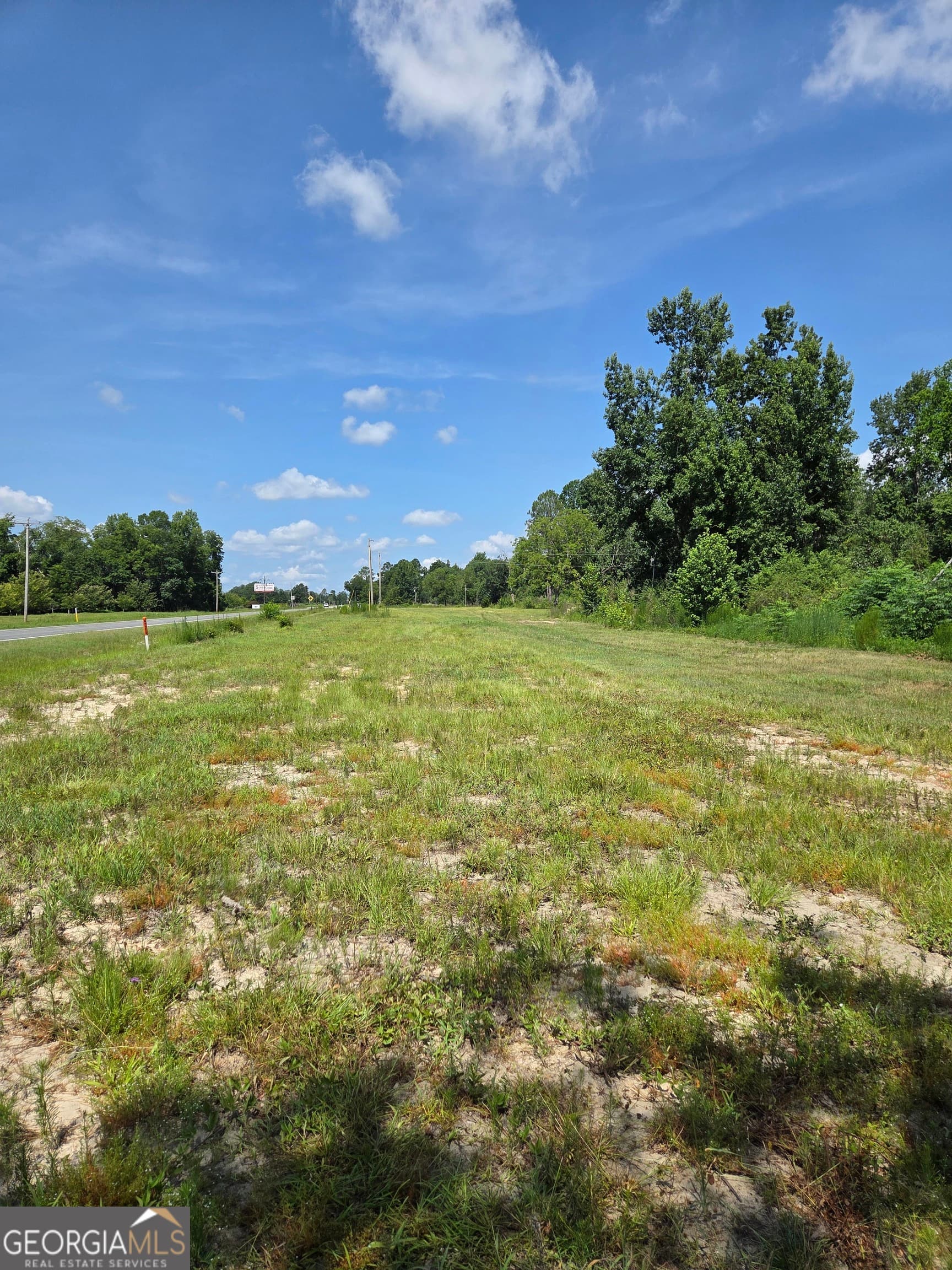 residential lot for sale at 0 E Highway 80, Swainsboro, GA 30401 — photo 9