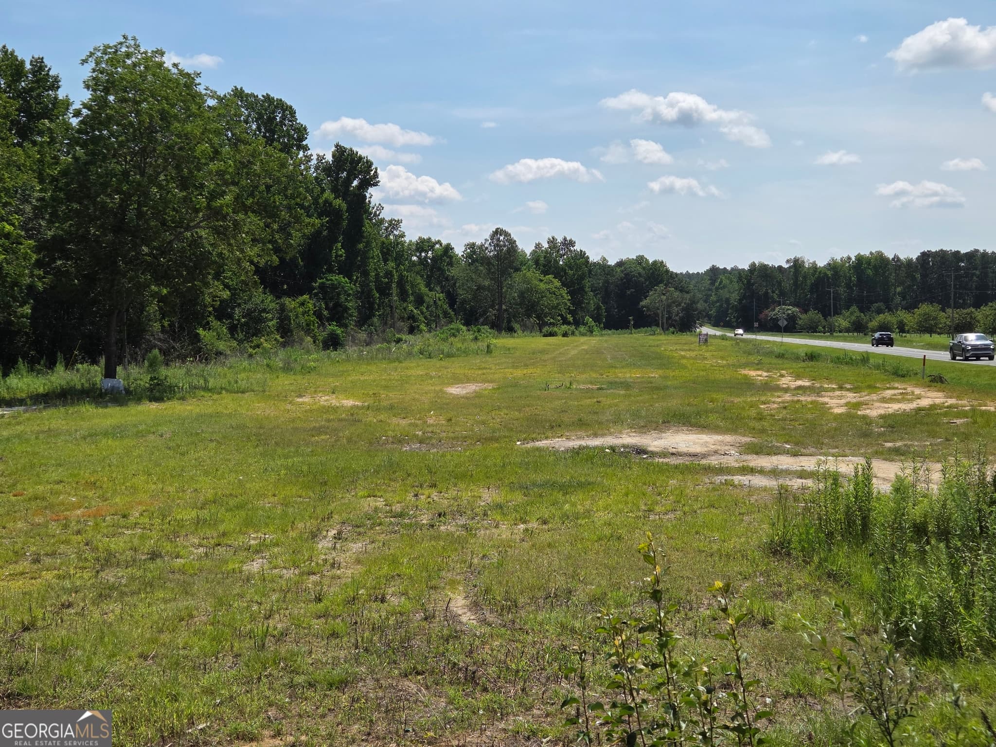 residential lot for sale at 0 E Highway 80, Swainsboro, GA 30401 — photo 10