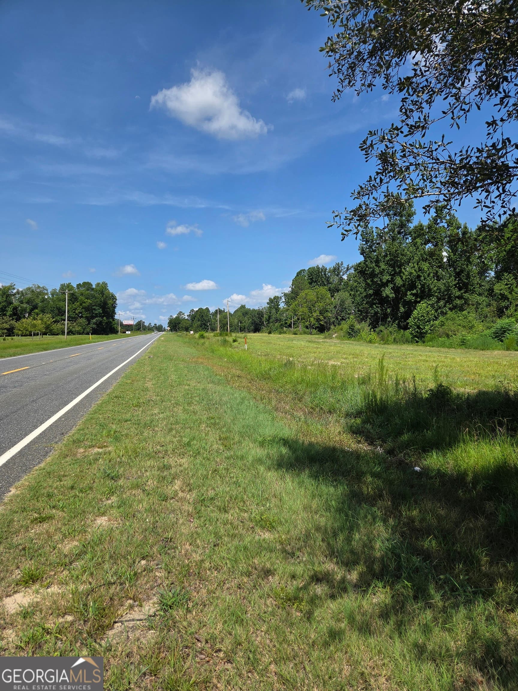 residential lot for sale at 0 E Highway 80, Swainsboro, GA 30401 — photo 8