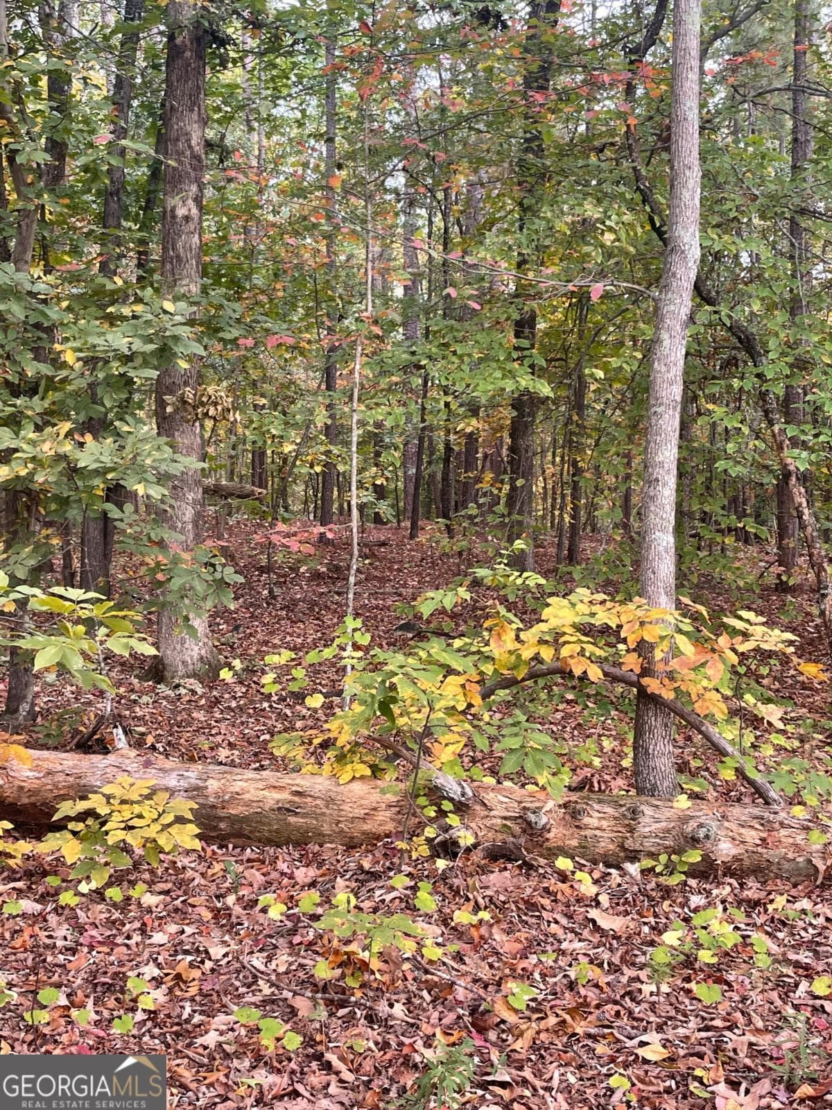 unimproved land for sale at 41 Foxfire Lane, Cartersville, GA 30120 — photo 2