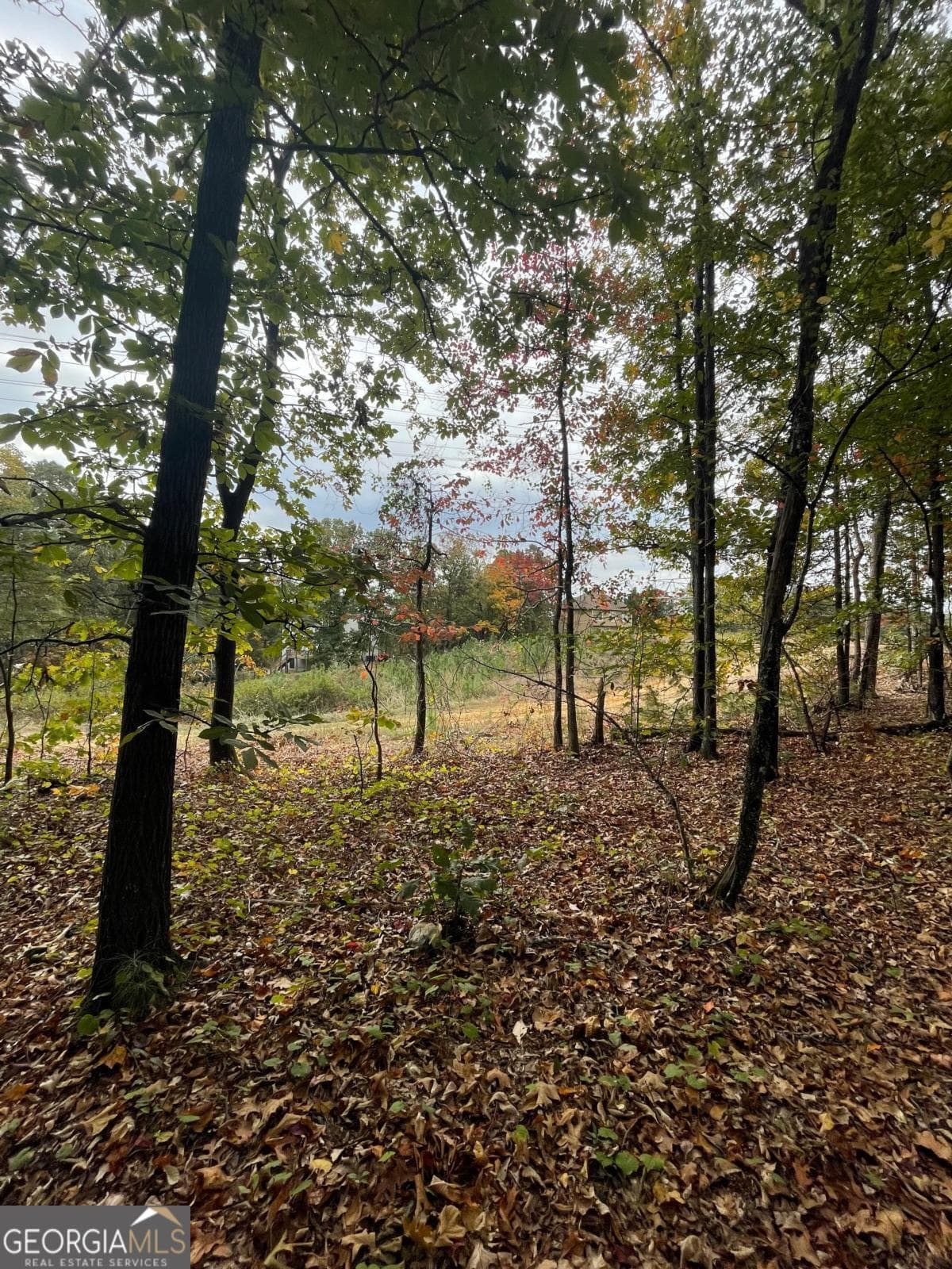 unimproved land for sale at 41 Foxfire Lane, Cartersville, GA 30120 — photo 3
