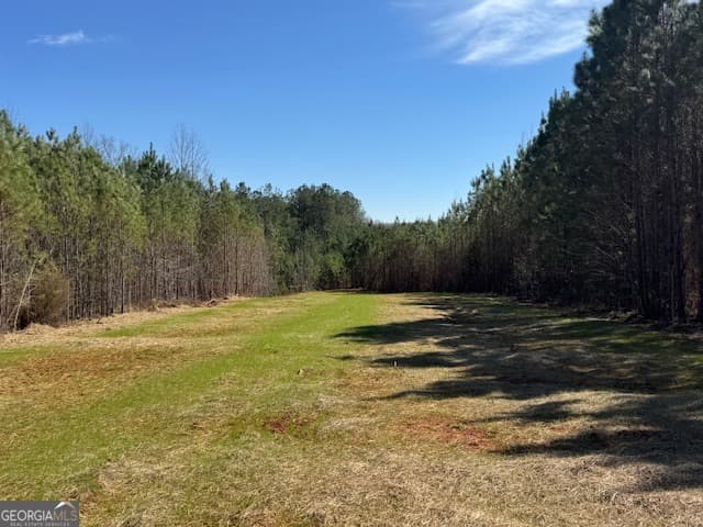 agriculture for sale at 600 Yarbrough Road, Franklin, GA 30217 — photo 2