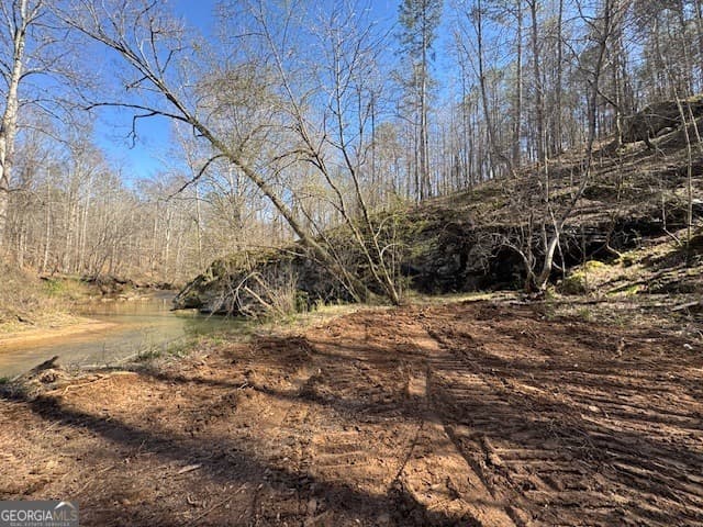 agriculture for sale at 600 Yarbrough Road, Franklin, GA 30217 — photo 6