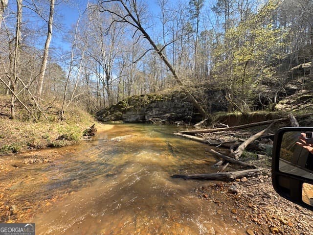 agriculture for sale at 600 Yarbrough Road, Franklin, GA 30217 — photo 3