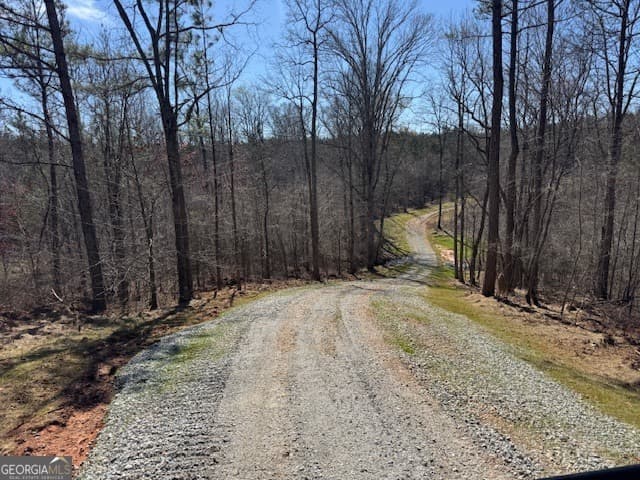 agriculture for sale at 600 Yarbrough Road, Franklin, GA 30217 — photo 5
