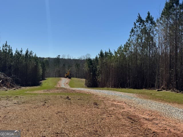 agriculture for sale at 600 Yarbrough Road, Franklin, GA 30217 — photo 9