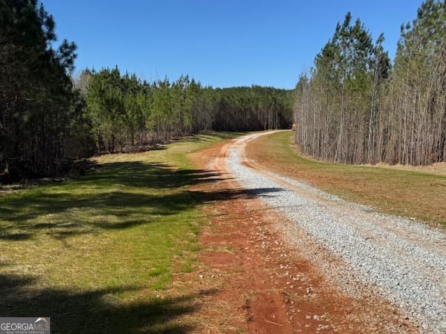 agriculture for sale at 600 Yarbrough Road, Franklin, GA 30217 — photo 10