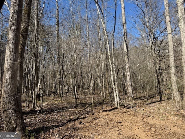 agriculture for sale at 600 Yarbrough Road, Franklin, GA 30217 — photo 4
