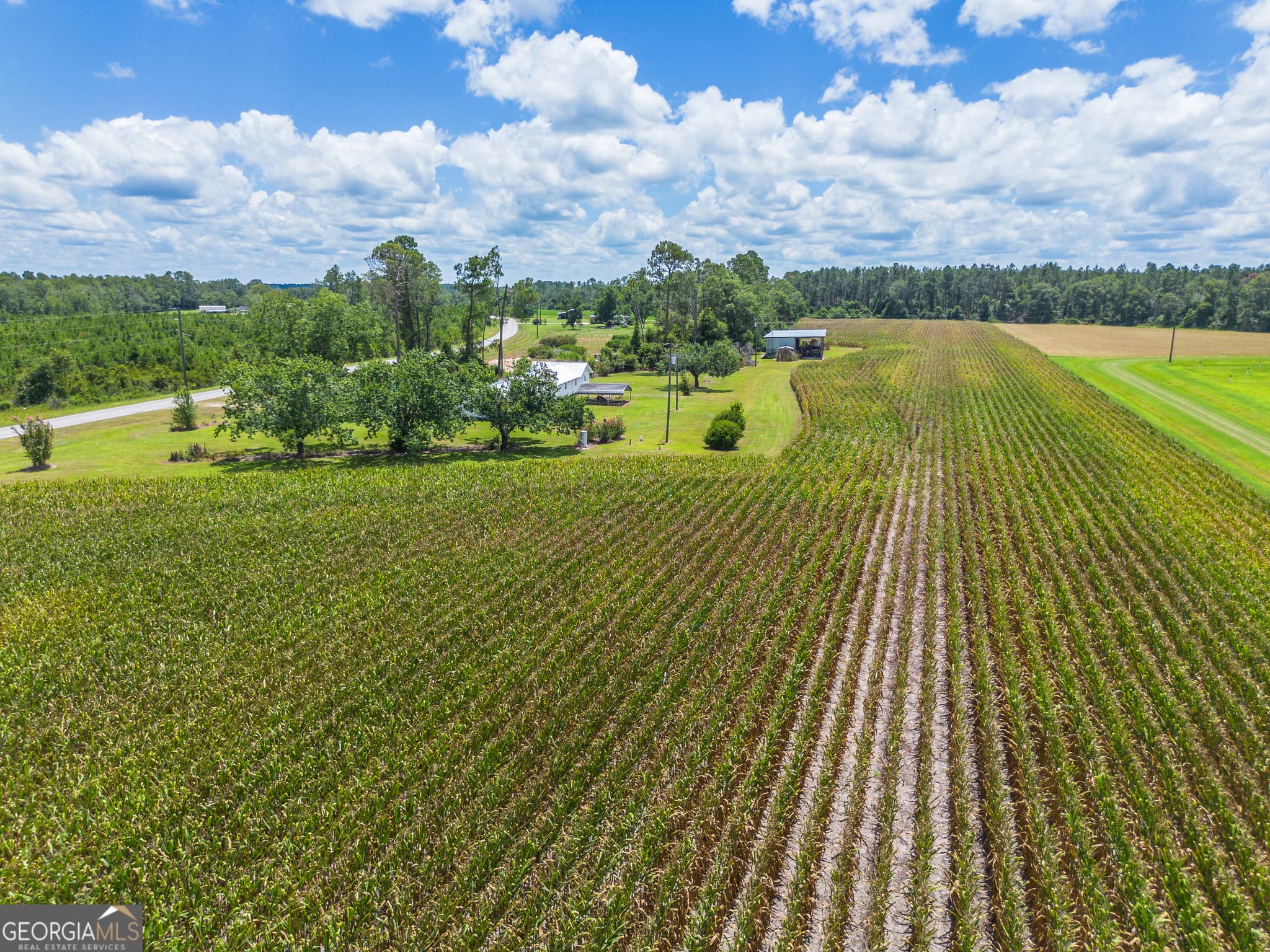 agriculture sold at 598 Teakwood Road, Alma, GA 31510