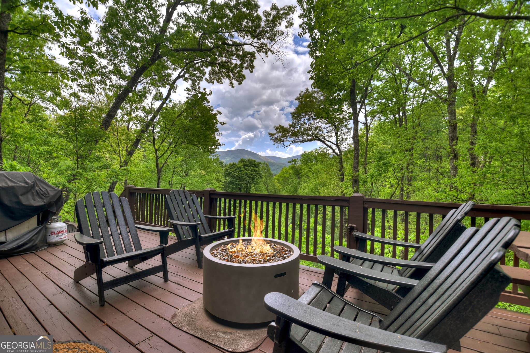 3 bedroom, 2 bathroom, 1,344 sq ft cabin,single family residence for sale at 1822 Hidden Lake Drive, Cherry Log, GA 30522 — photo 7