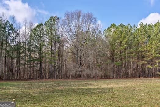agriculture for sale at 0 Double Bridges Road, Madison, GA 30650 — photo 2