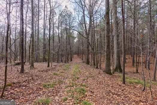 agriculture for sale at 0 Double Bridges Road, Madison, GA 30650 — photo 6