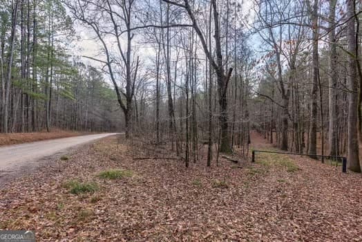 agriculture for sale at 0 Double Bridges Road, Madison, GA 30650 — photo 7