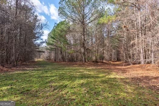 agriculture for sale at 0 Double Bridges Road, Madison, GA 30650 — photo 3