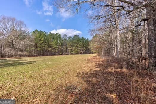 agriculture for sale at 0 Double Bridges Road, Madison, GA 30650