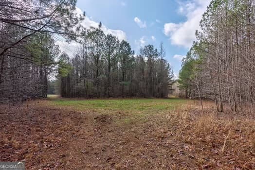 agriculture for sale at 0 Double Bridges Road, Madison, GA 30650 — photo 5