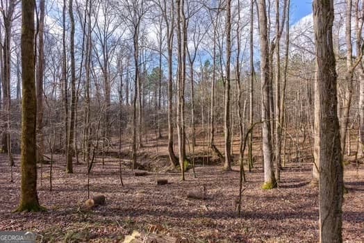 agriculture for sale at 0 Double Bridges Road, Madison, GA 30650 — photo 9