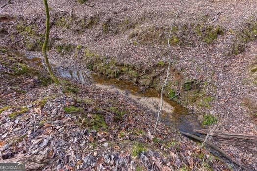 agriculture for sale at 0 Double Bridges Road, Madison, GA 30650 — photo 10