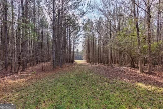 agriculture for sale at 0 Double Bridges Road, Madison, GA 30650 — photo 4