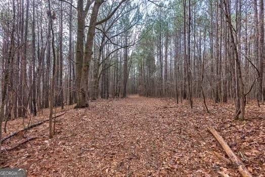 agriculture for sale at 0 Double Bridges Road, Madison, GA 30650 — photo 8