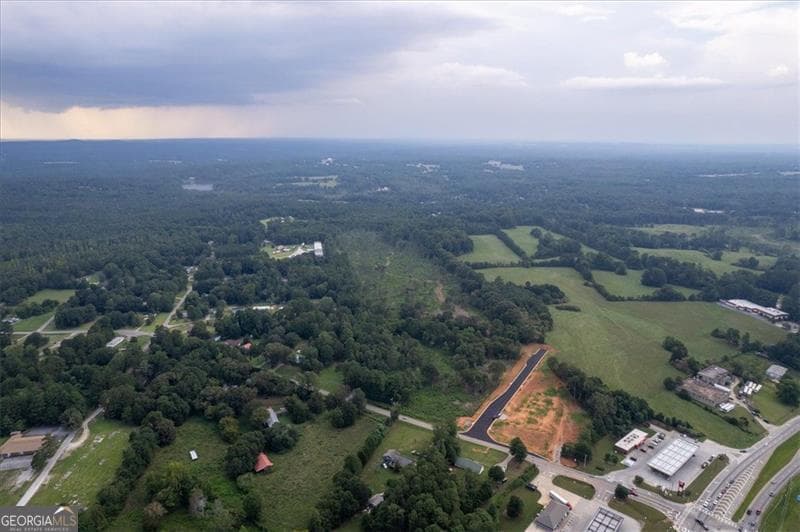 unimproved land for sale at 0 Old Airport Road, Carrollton, GA 30116 — photo 5