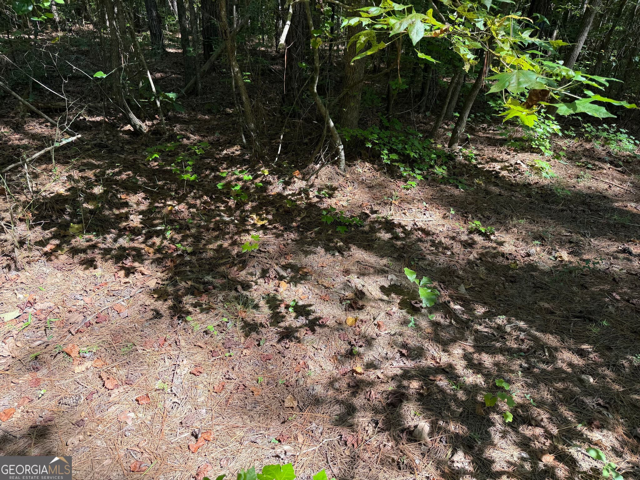 unimproved land for sale at 0 Joe Anthony Road, Senoia, GA 30276 — photo 7