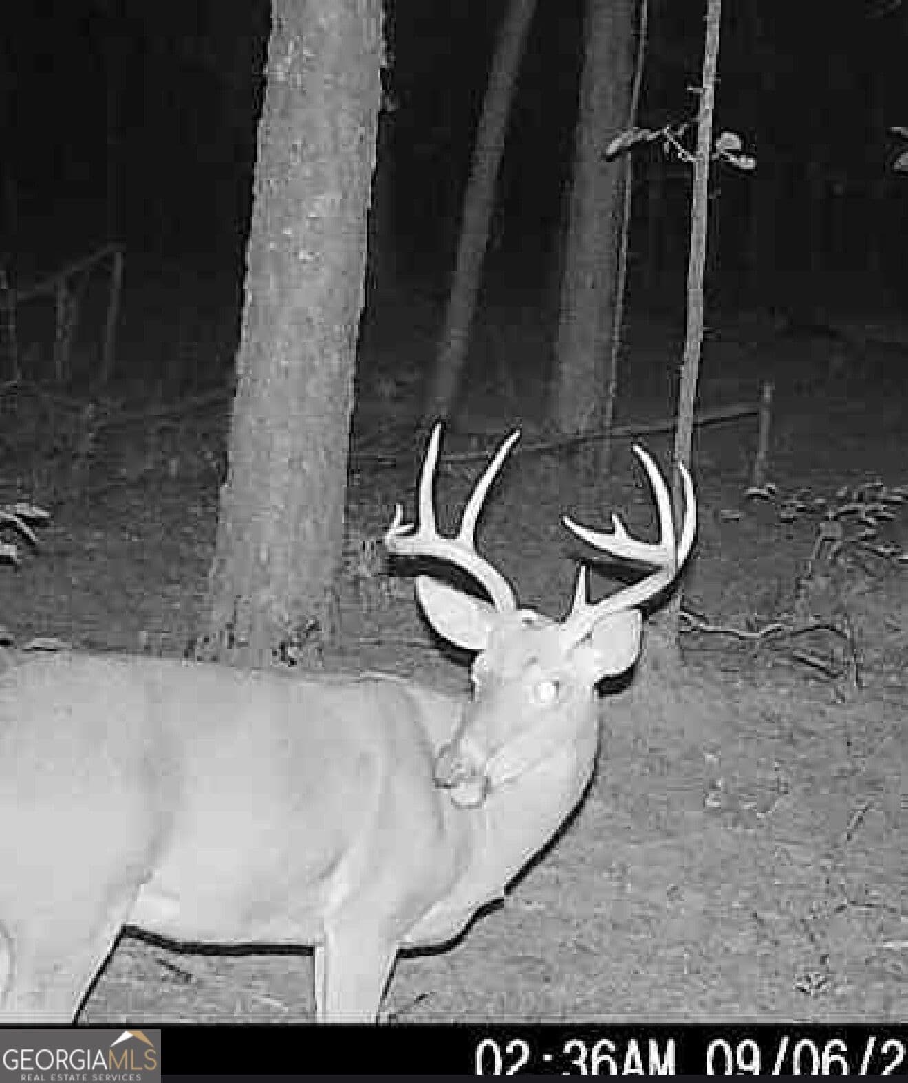 unimproved land for sale at 0 Joe Anthony Road, Senoia, GA 30276 — photo 3