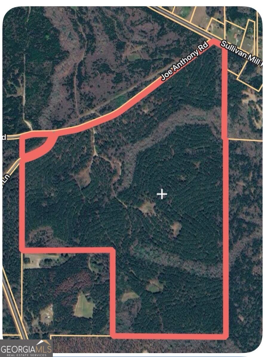 unimproved land for sale at 0 Joe Anthony Road, Senoia, GA 30276