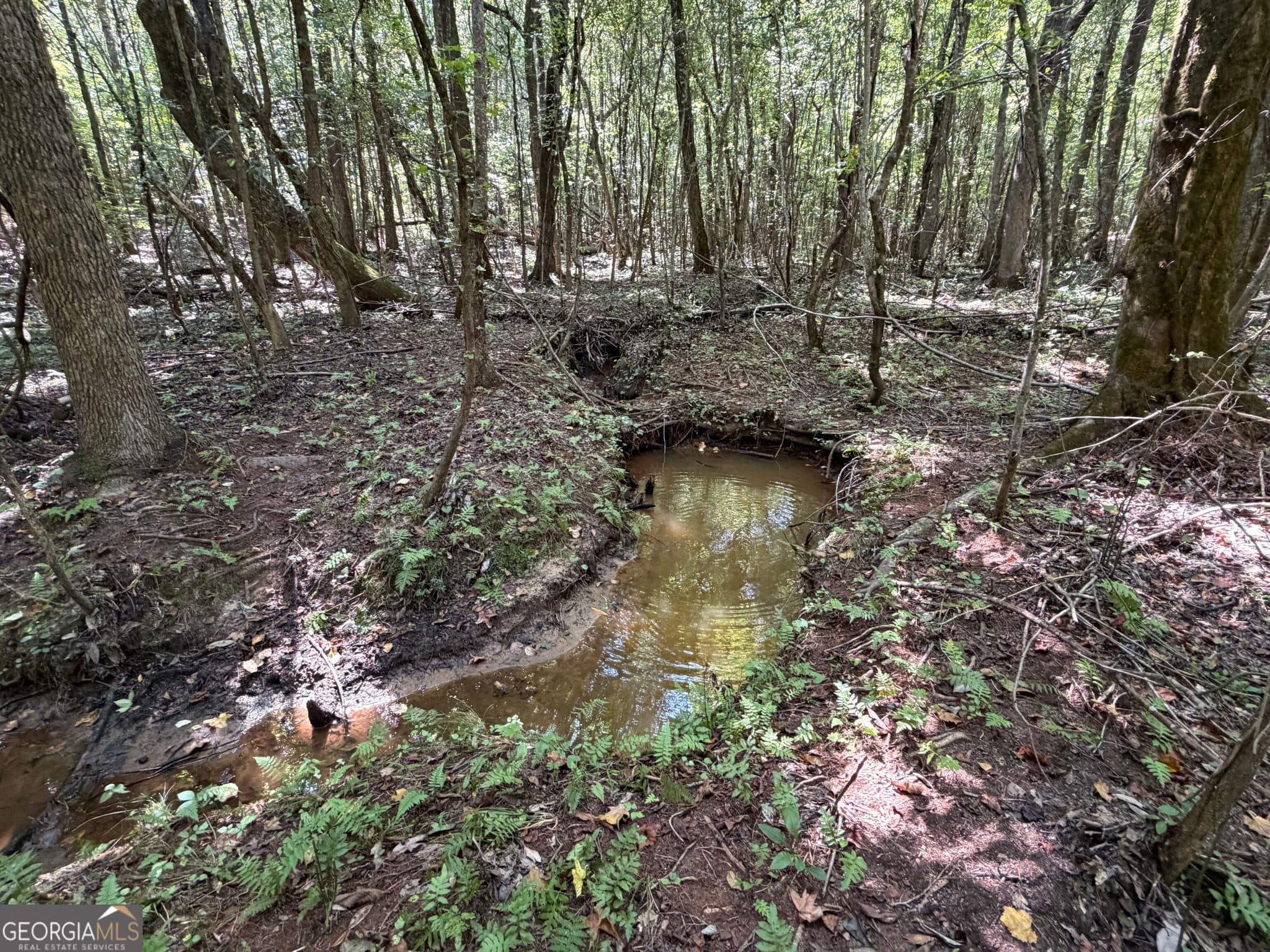 unimproved land for sale at 0 Joe Anthony Road, Senoia, GA 30276 — photo 5