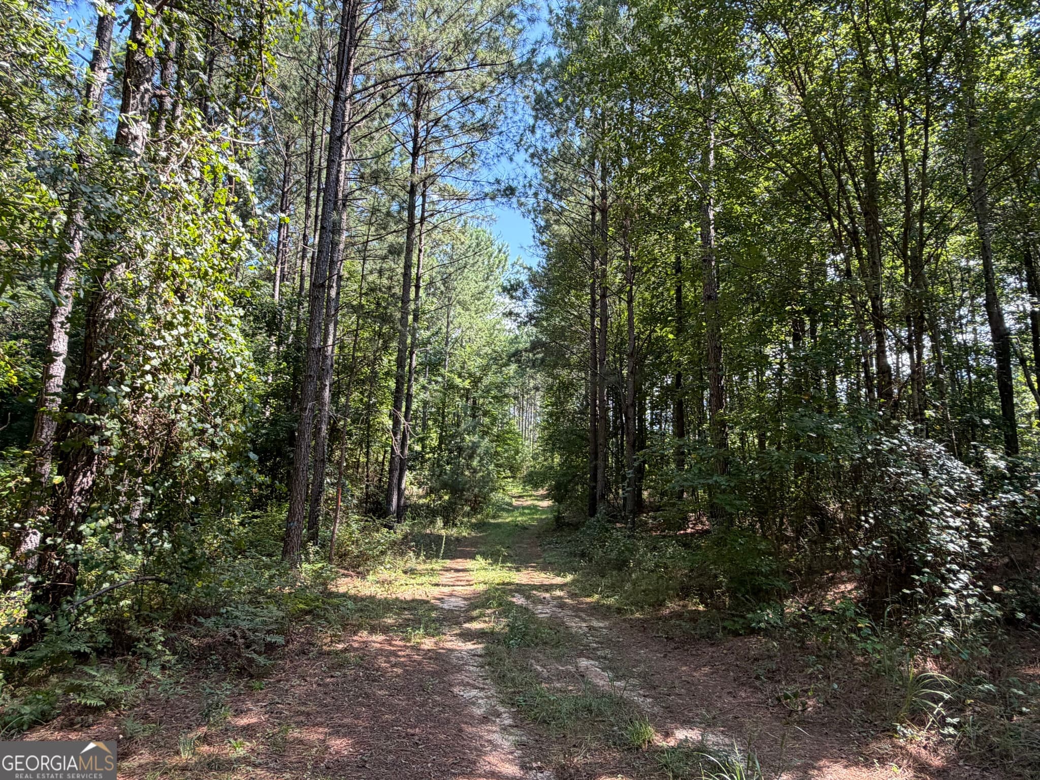 unimproved land for sale at 0 Joe Anthony Road, Senoia, GA 30276 — photo 9