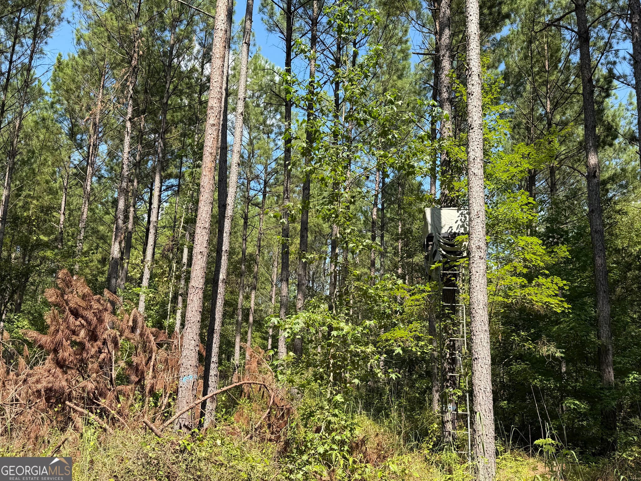 unimproved land for sale at 0 Joe Anthony Road, Senoia, GA 30276 — photo 10