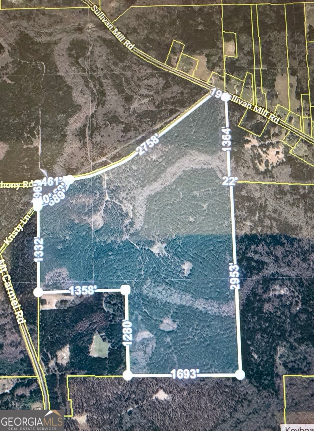 unimproved land for sale at 0 Joe Anthony Road, Senoia, GA 30276 — photo 4