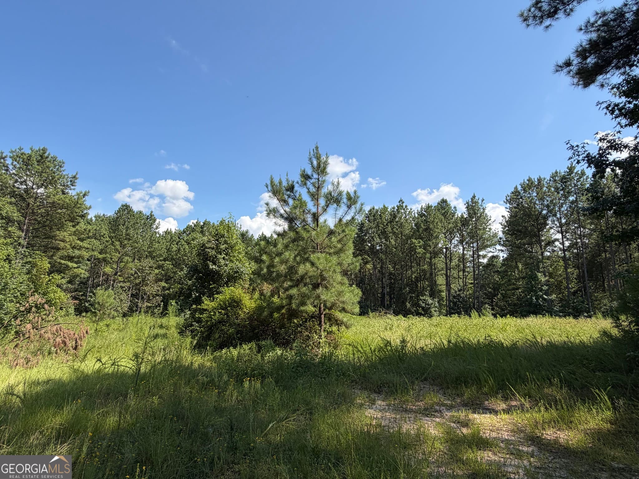 unimproved land for sale at 0 Joe Anthony Road, Senoia, GA 30276 — photo 8