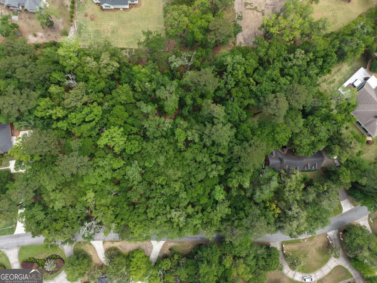 residential lot for sale at 344 Oak Grove Island Drive, Brunswick, GA 31523 — photo 7