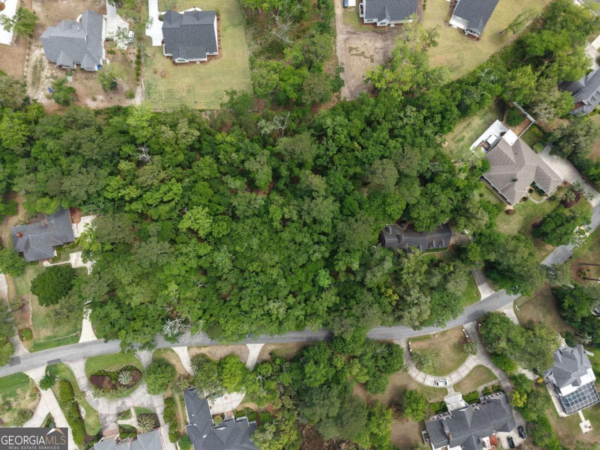 residential lot for sale at 344 Oak Grove Island Drive, Brunswick, GA 31523 — photo 8