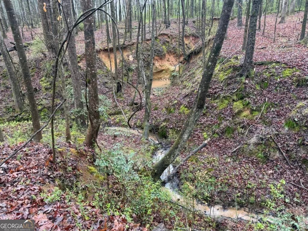 residential lot for sale at 1791 McRess Gin Road, Watkinsville, GA 30677 — photo 2