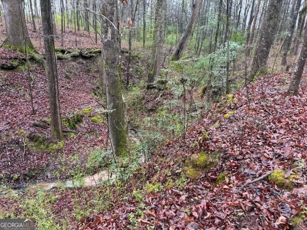 residential lot for sale at 1791 McRess Gin Road, Watkinsville, GA 30677 — photo 6