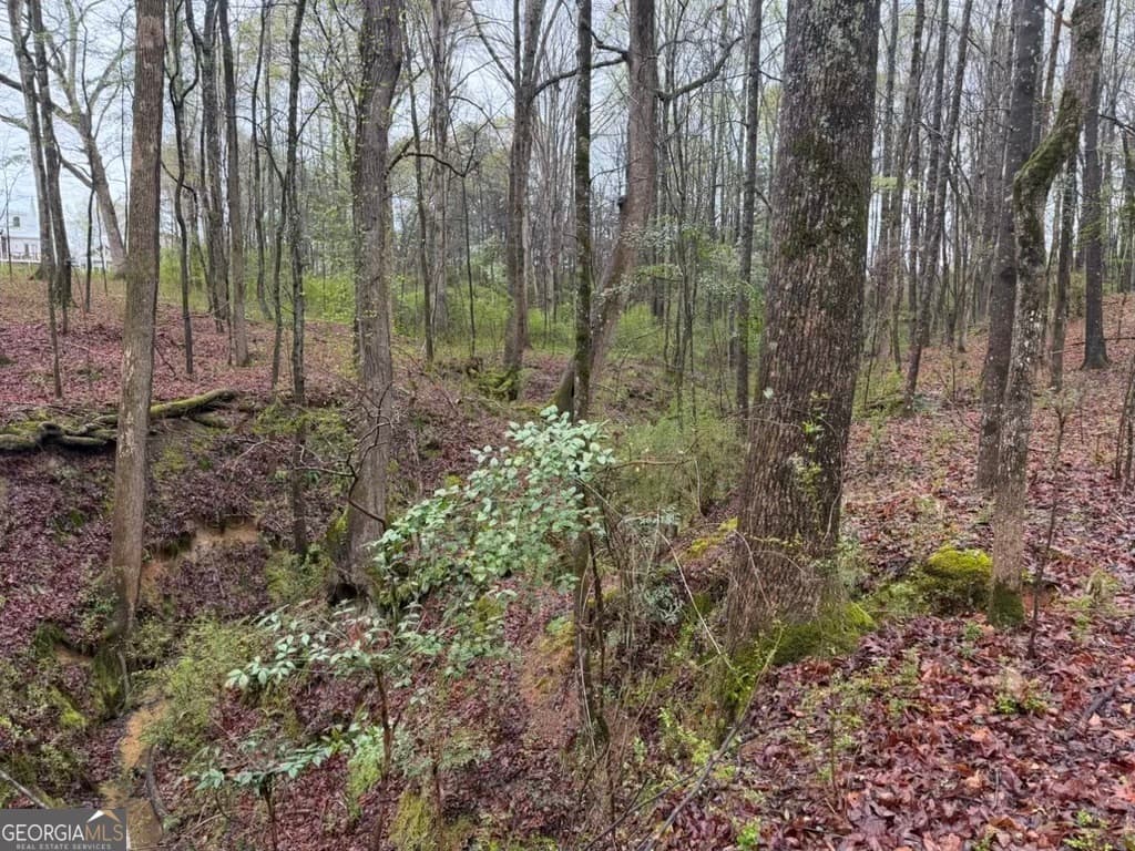 residential lot for sale at 1791 McRess Gin Road, Watkinsville, GA 30677 — photo 7