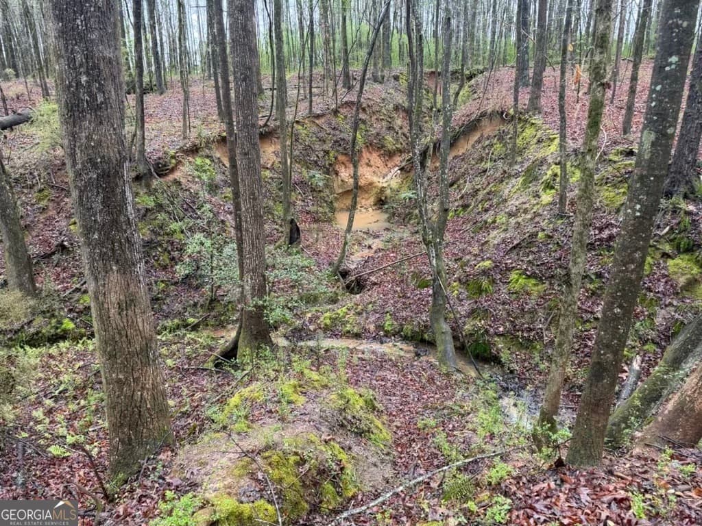 residential lot for sale at 1791 McRess Gin Road, Watkinsville, GA 30677 — photo 3