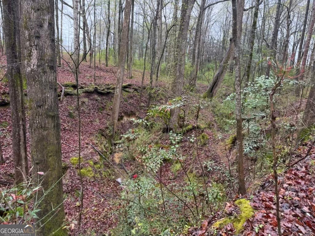 residential lot for sale at 1791 McRess Gin Road, Watkinsville, GA 30677 — photo 5