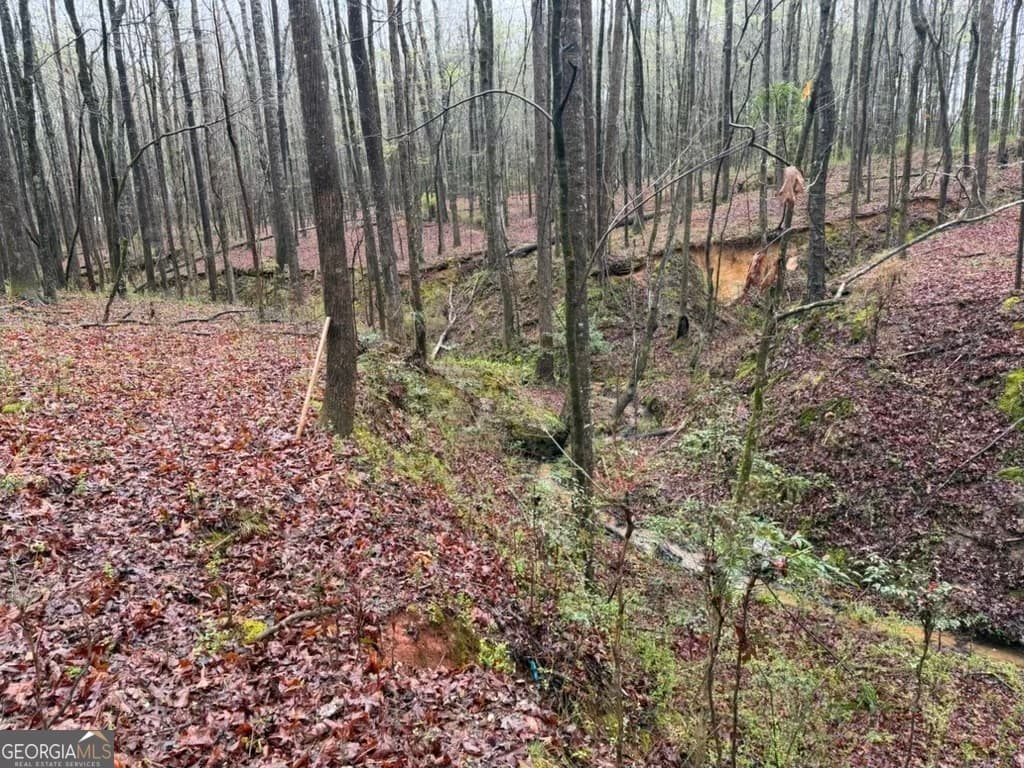 residential lot for sale at 1791 McRess Gin Road, Watkinsville, GA 30677 — photo 4