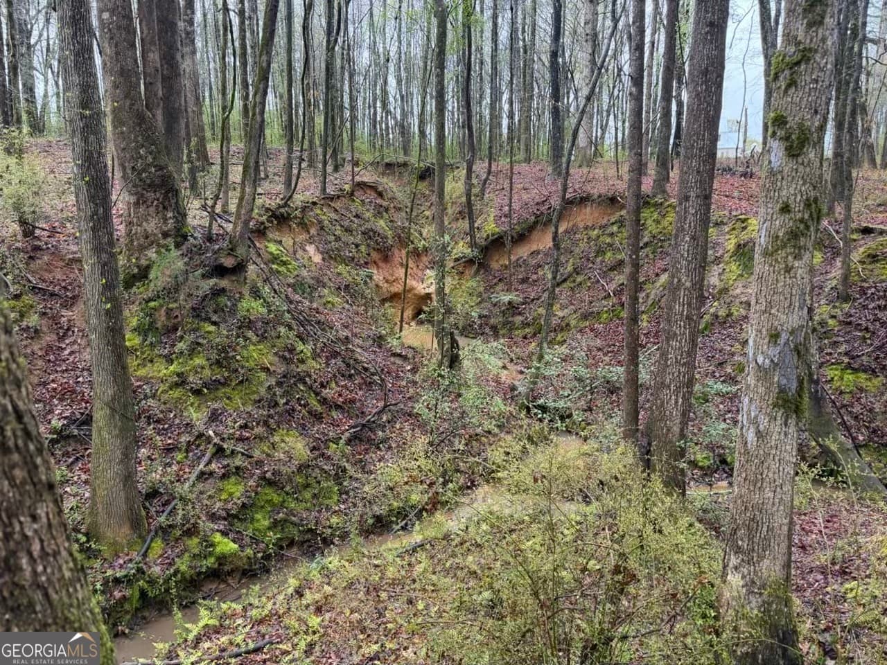 residential lot for sale at 1791 McRess Gin Road, Watkinsville, GA 30677 — photo 8