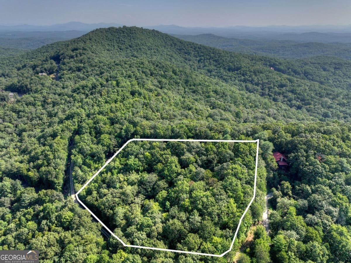 unimproved land for sale at 3.6 AC Prince Mountain Road, Cherry Log, GA 30522 — photo 2