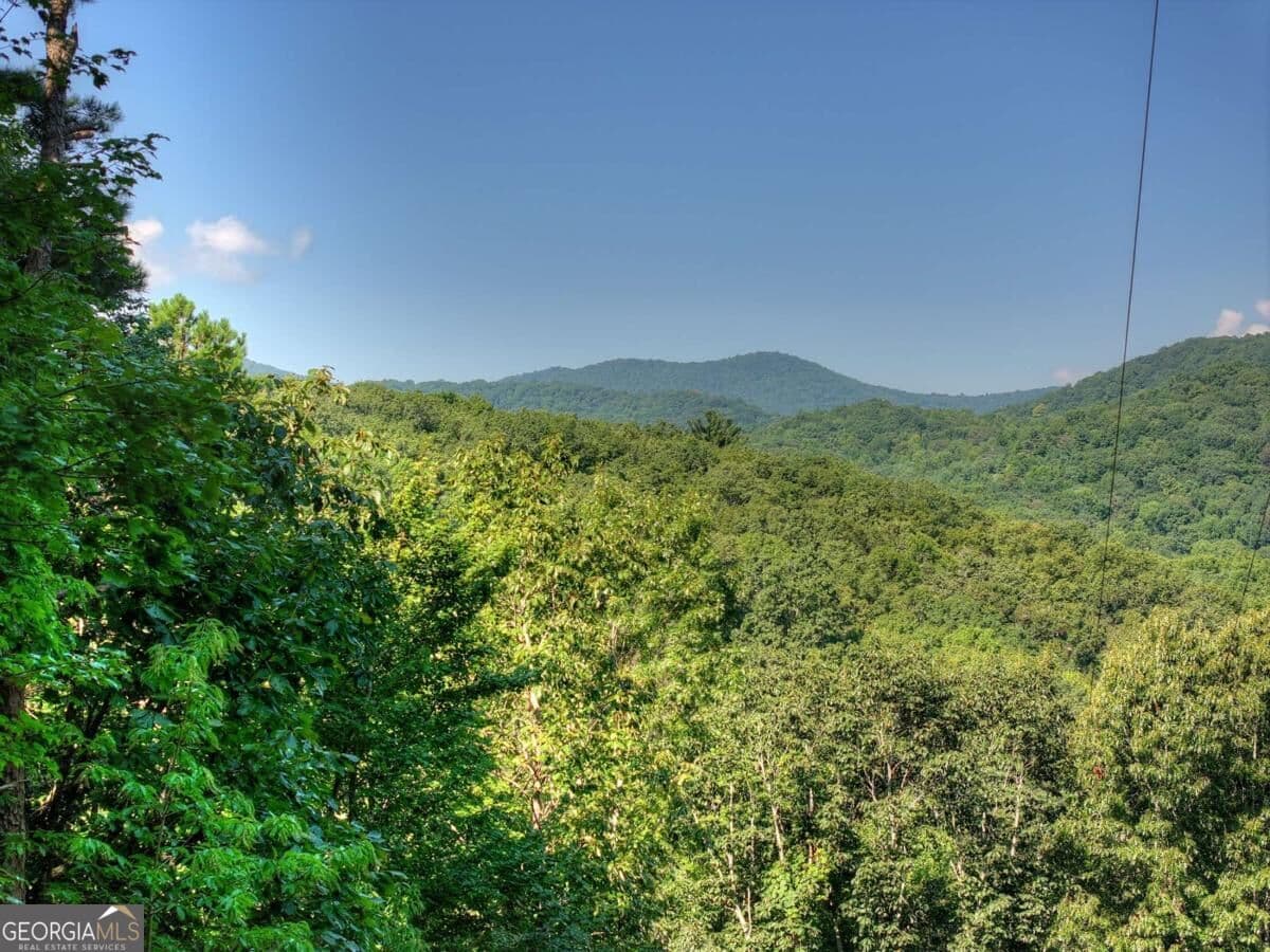 unimproved land for sale at 3.6 AC Prince Mountain Road, Cherry Log, GA 30522 — photo 6