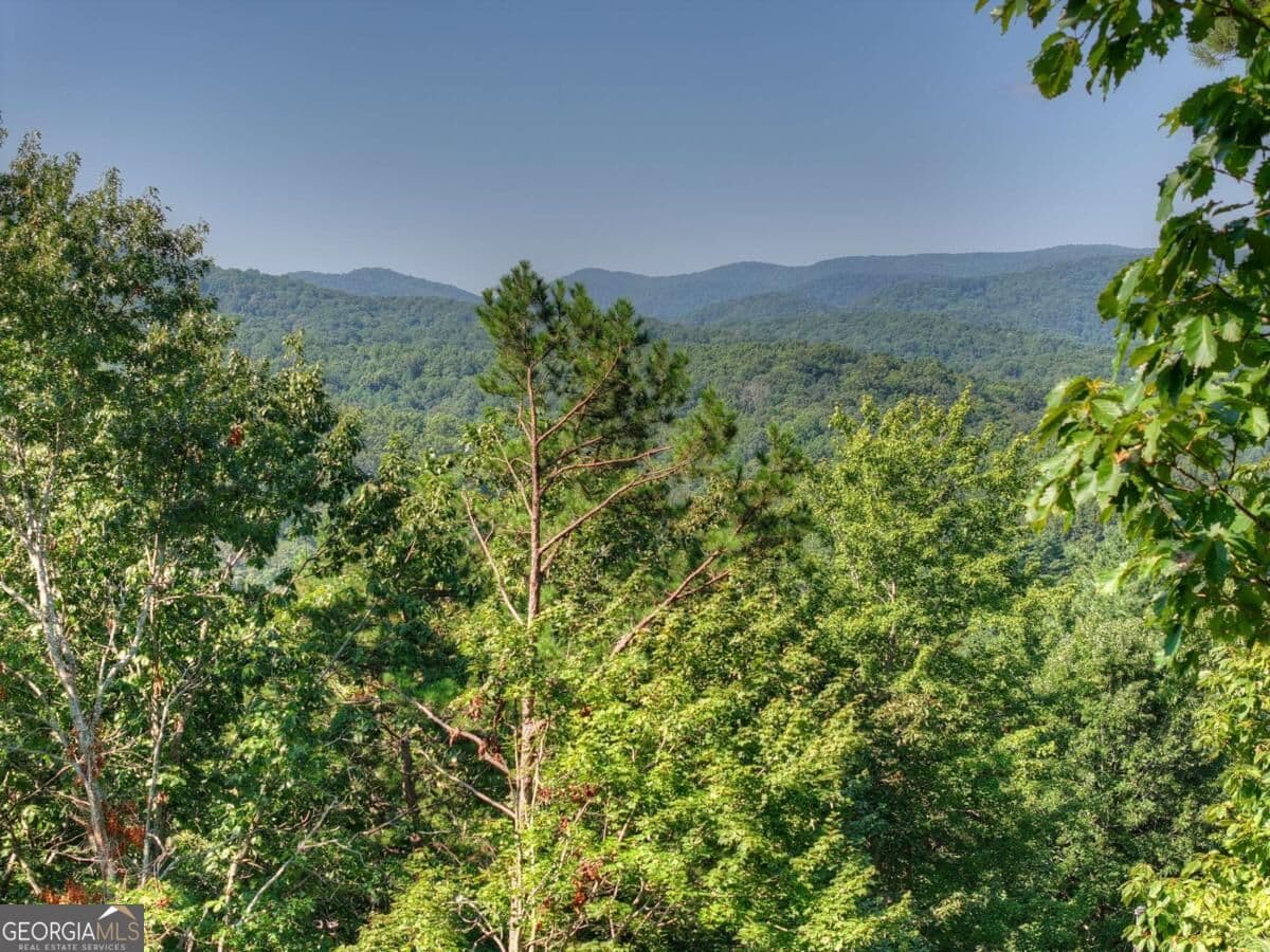 unimproved land for sale at 3.6 AC Prince Mountain Road, Cherry Log, GA 30522 — photo 7