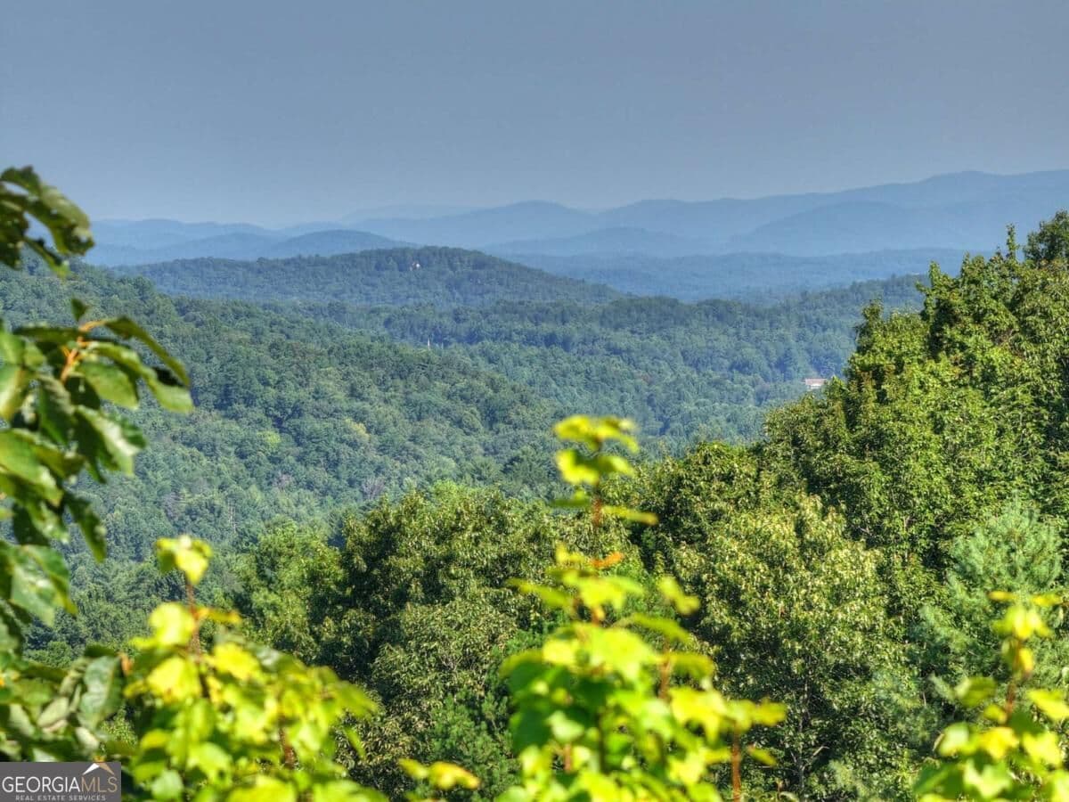 unimproved land for sale at 3.6 AC Prince Mountain Road, Cherry Log, GA 30522 — photo 3