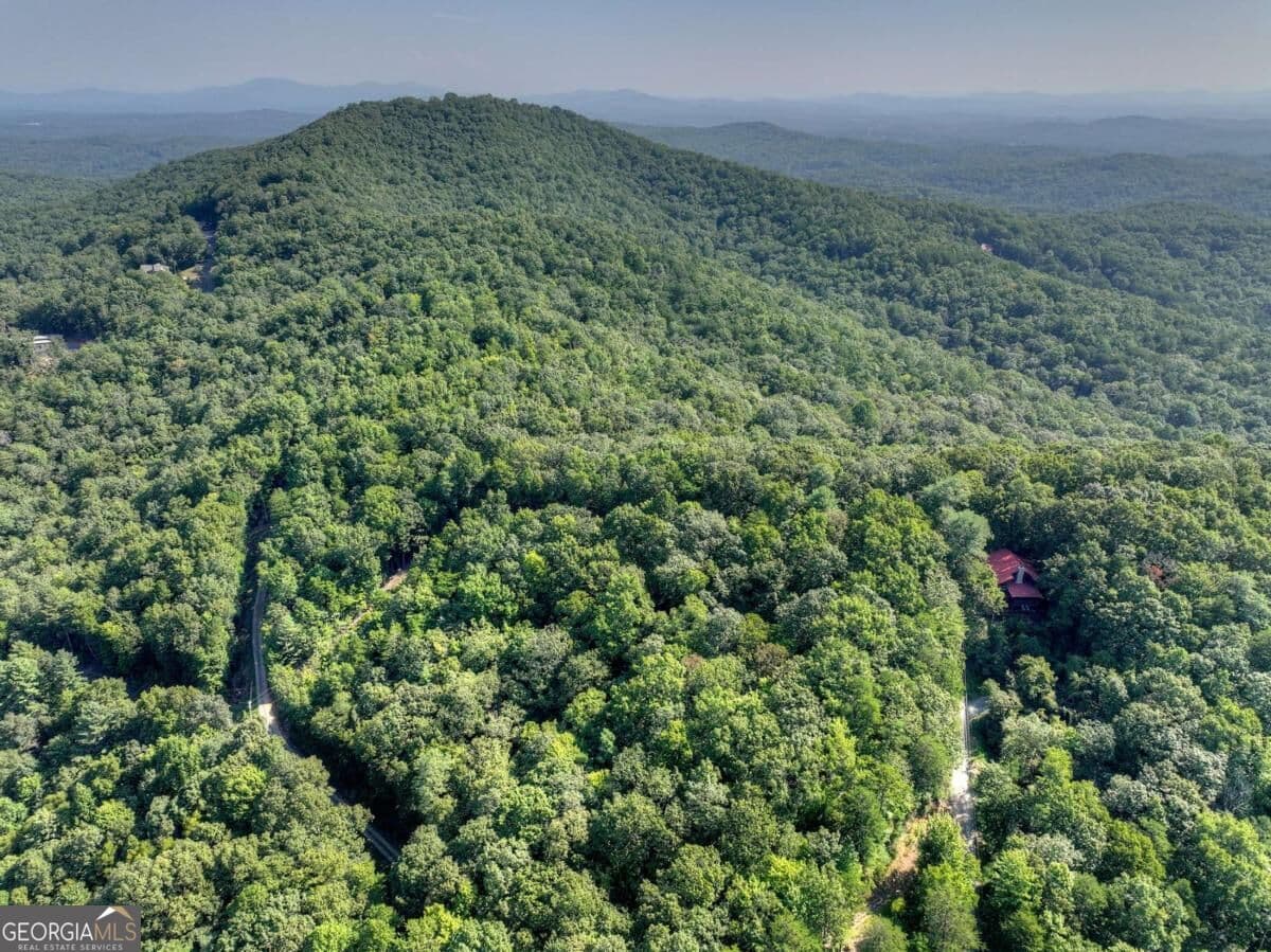 unimproved land for sale at 3.6 AC Prince Mountain Road, Cherry Log, GA 30522 — photo 1 of 22