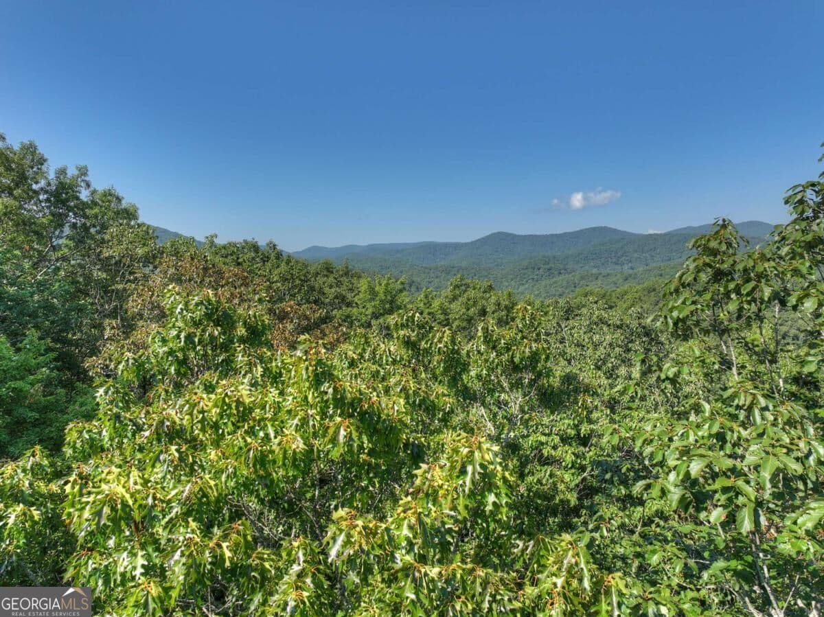 unimproved land for sale at 3.6 AC Prince Mountain Road, Cherry Log, GA 30522 — photo 5